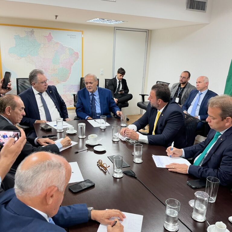 TERESINA/PI: SILVIO MENDES, CUMPRE AGENDA EM BRASÍLIA E REFORÇA ALINHAMENTO COM PARLAMENTARES PIAUIENSES