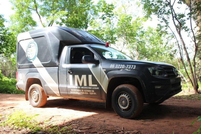 PAJEÚ DO PIAUÍ: MULHER É ASSASSINADA A FACADAS NA FRENTE DO FILHO