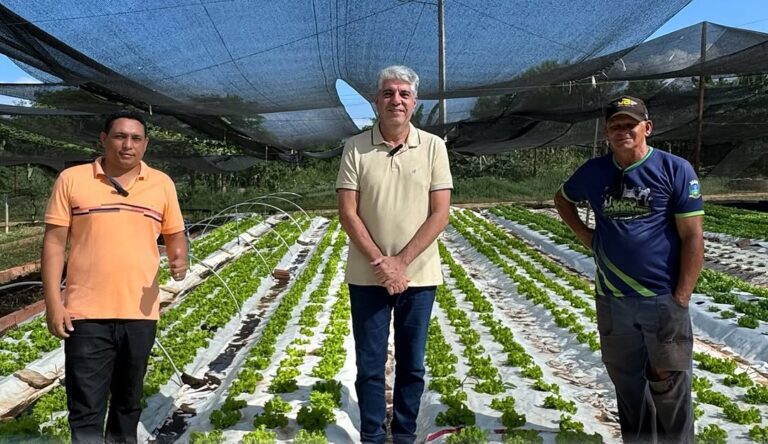 CORRENTE/PI: PREFEITURA ANUNCIA MELHORIAS PARA HORTA E VIVEIRO MUNICIPAL