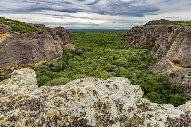 SERRA DA CAPIVARA/PI: CHUVAS TRANSFORMAM CENÁRIO DO PARQUE NACIONAL E ENCANTAM TURISTAS