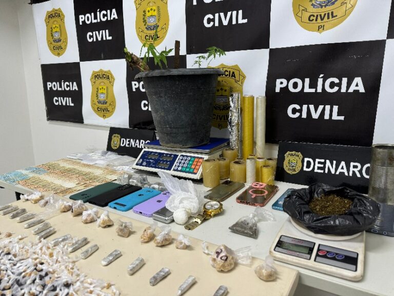 ÁGUA BRANCA/PI: DENARC PRENDE QUATRO PESSOAS E APREENDE DROGAS E ARMAS EM OPERAÇÃO