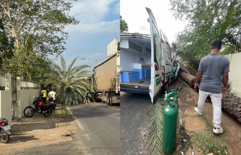 CAMPO MAIOR/PI: QUEDA DE PALMEIRA ATINGE AMBULÂNCIA NA BR-343