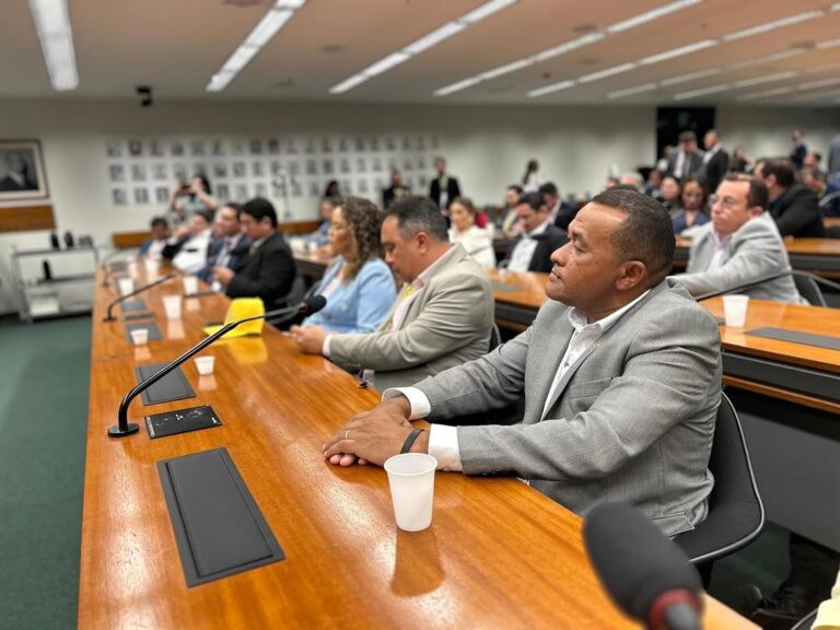 AMARANTE/PI: PREFEITO PROFESSOR ADRIANO SE REÚNE COM A BANCADA FEDERAL DO PIAUÍ EM BRASÍLIA