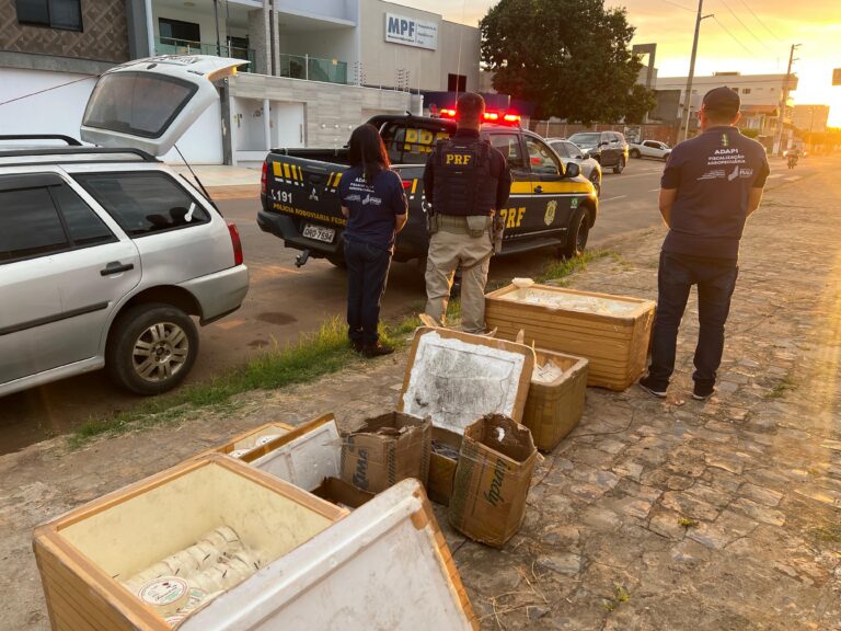 PICOS/PI: PRF APREENDE QUASE 300 KG DE QUEIJOS E DOCES IMPRÓPRIOS PARA CONSUMO