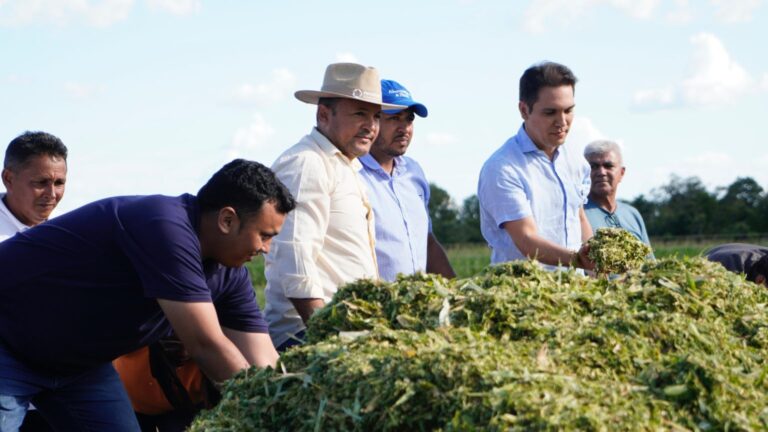 URUÇUÍ/PI: PREFEITO DR. GILBERTO JÚNIOR ACOMPANHA PRODUÇÃO DE SILAGEM NO ASSENTAMENTO FLORES E REFORÇA APOIO À AGRICULTURA FAMILIAR