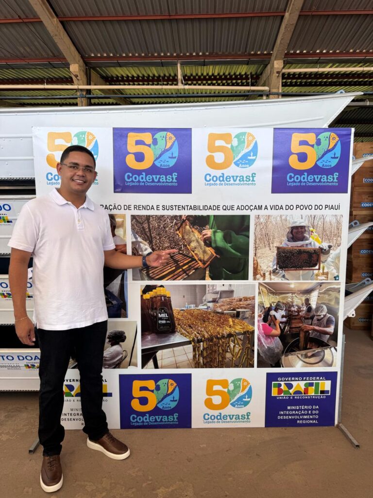 JAICÓS/PI: APICULTORES DE JAICÓS RECEBERÃO 350 NOVAS CAIXAS DE ABELHAS PARA FORTALECIMENTO DA PRODUÇÃO
