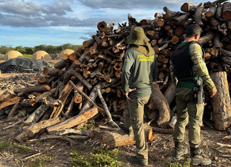 SÃO JOSÉ DO PEIXE/PI: CARVOARIAS E ÁREAS DE MANEJO NO SUL DO PIAUÍ APRESENTAM IRREGULARIDADES, APONTA SEMARH