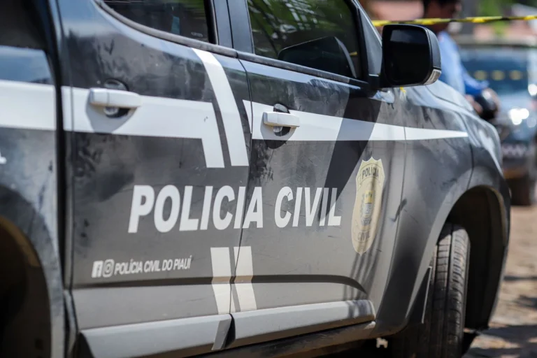POLÍCIA CIVIL REALIZA OPERAÇÃO PUNIÇÃO II CONTRA O CRIME ORGANIZADO NO NORTE DO PIAUÍ