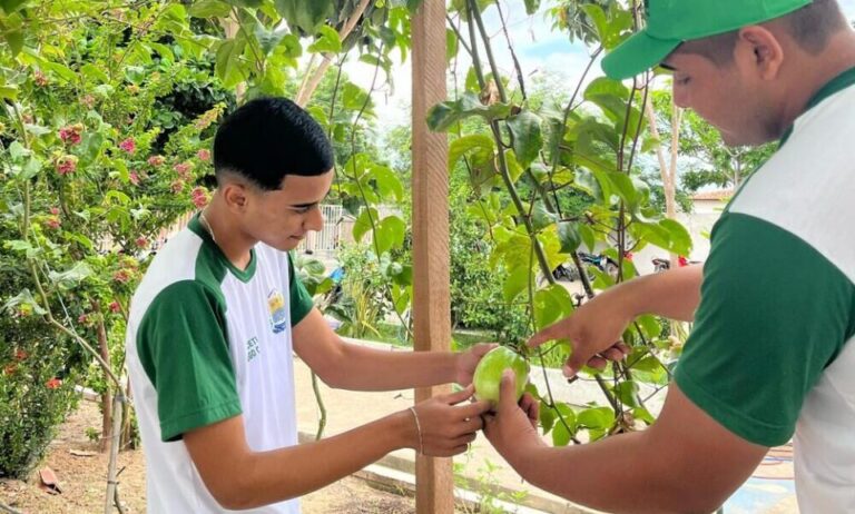 CASTELO DO PIAUÍ/PI: ESTUDANTES DA REDE ESTADUAL TRANSFORMAM ESCOLA EM ESPAÇO DE SUSTENTABILIDADE E INOVAÇÃO