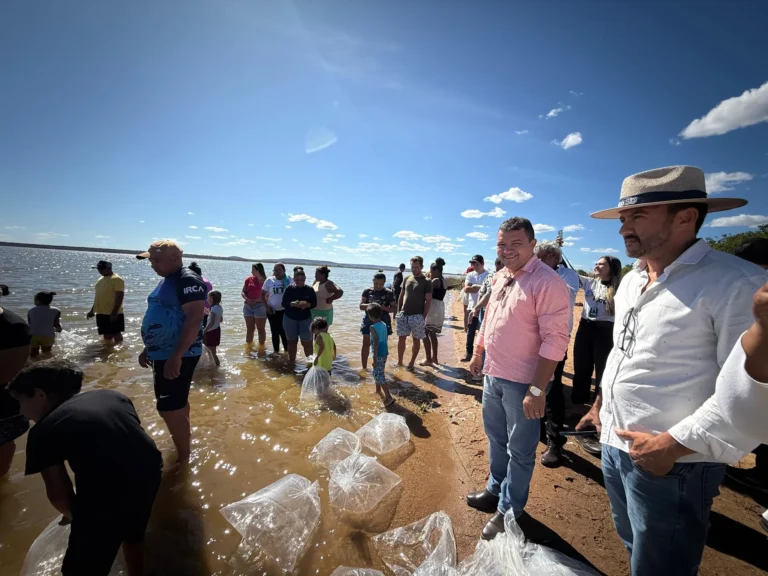 MEIO AMBIENTE: RIOS, BARRAGENS E LAGOS DO SUL DO PIAUÍ RECEBEM PEIXES PARA REPOVOAMENTO DE ESPÉCIES NATIVAS