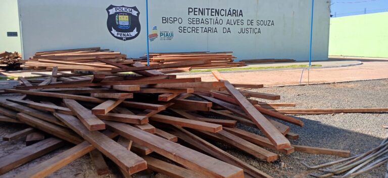 PARNAÍBA/PI: GRANDE QUANTIDADE DE MADEIRA NOBRE E IRREGULAR É APREENDIDA