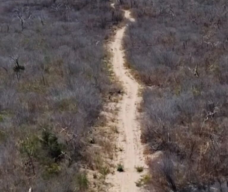 *MORRO CABEÇA NO TEMPO/PI: ABERTURA DE ESTRADA REDUZ ROTA ENTRE MUNICÍPIOS*