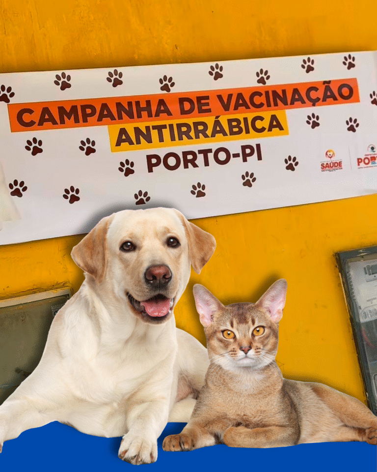 PORTO/PI: VACINAÇÃO CONTRA RAIVA