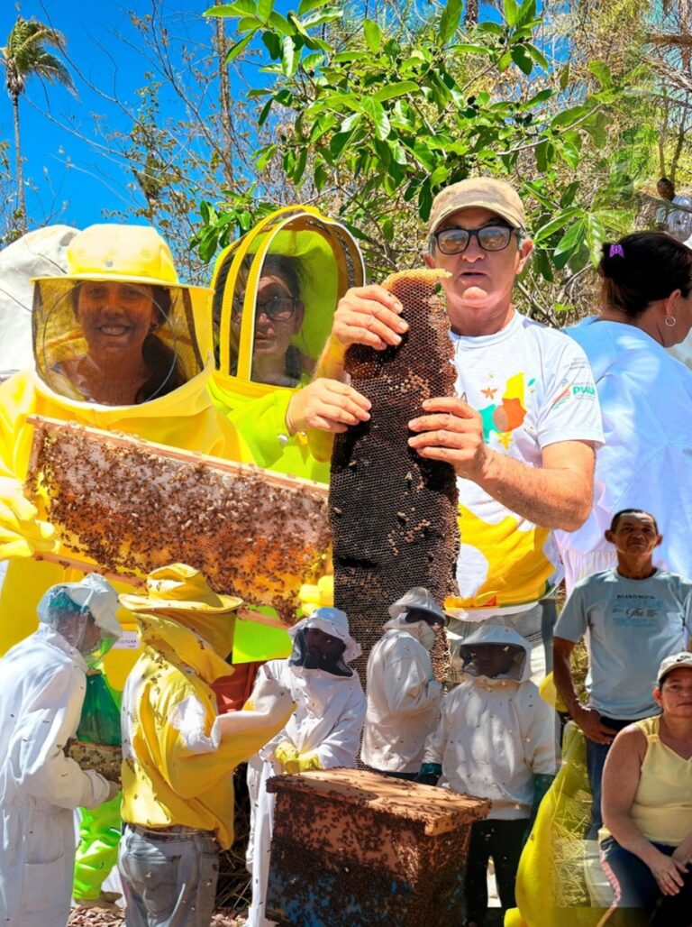MARCOS PARENTE/PI: PRODUTORES INVESTEM EM CONHECIMENTO DE PRODUÇÃO DE MEL
