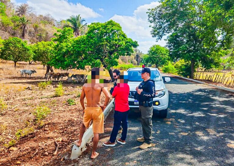 NAZÁRIA/PI: OPERAÇÃO PORTEIRA FECHADA COMBATE ANIMAIS SOLTOS NAS VIAS E RESPONSABILIZA CRIADORES
