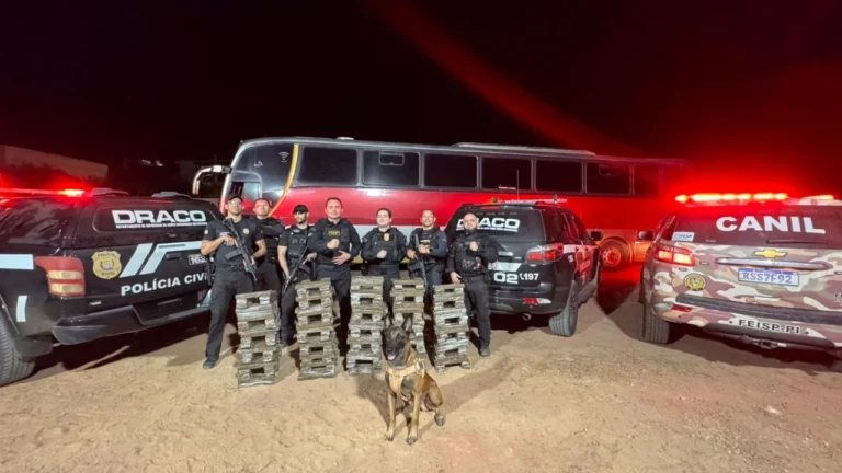 BOM JESUS/PI: OPERAÇÃO POLICIAL APREENDE 250KG DE MACONHA EM ÔNIBUS ALUGADO PELO CRIME ORGANIZADO