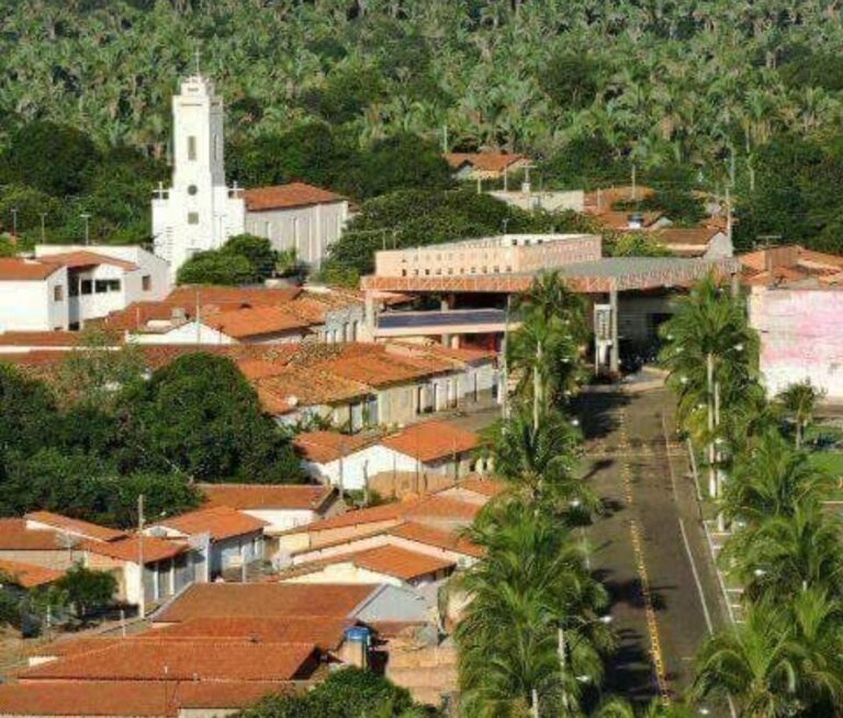 SÃO MIGUEL DA BAIXA GRANDE/PI: PÚBLICO INFANTIL VAI GANHAR UM DIA DAS CRIANÇAS CHEIO DE ENCANTOS