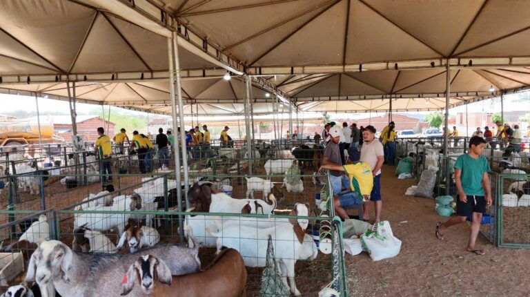 CURRAL NOVO/PI: 2ª EDIÇÃO DA EXPOAGRO PROPÕE MAIS DESENVOLVIMENTO AO AGRONEGÓCIO