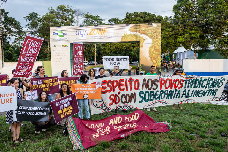 BELÉM/PA: POLÍCIA FEDERAL E ONU INVESTIGAM MANIFESTAÇÃO DURANTE A COP30