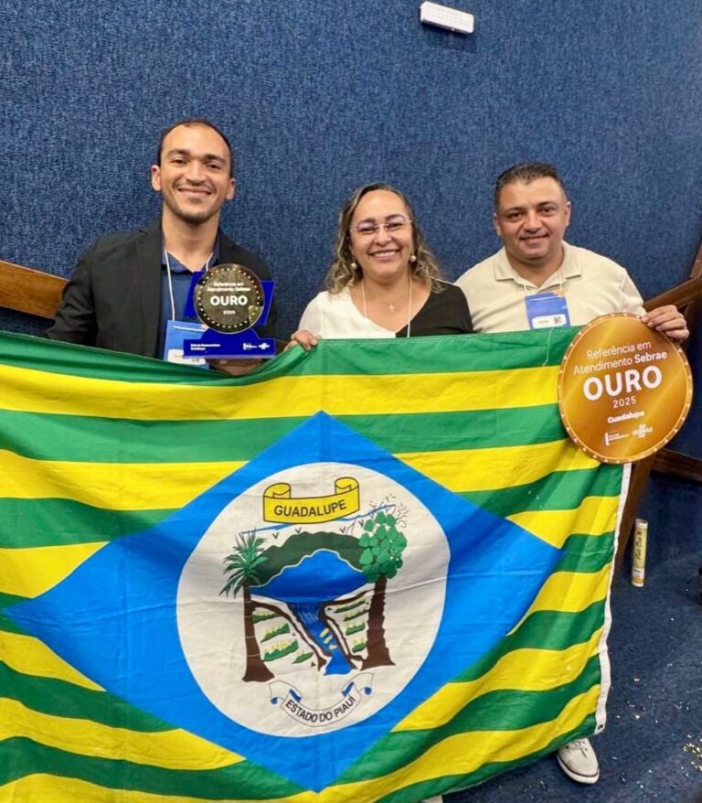 GUADALUPE/PI:CIDADE OURO NO ATENDIMENTO AO EMPREENDEDOR