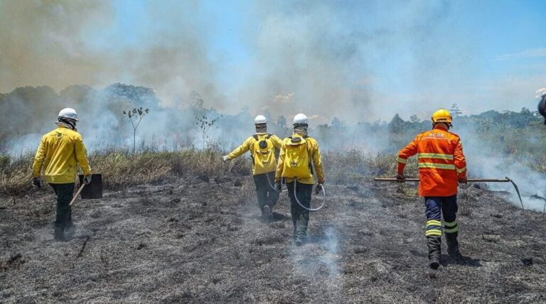 COMBATE A INCÊNDIOS: CURSO PROMOVIDO PELA PREFEITURA DE RIBEIRO GONÇALVES/PI VAI FORMAR BRIGADISTAS FLORESTAIS