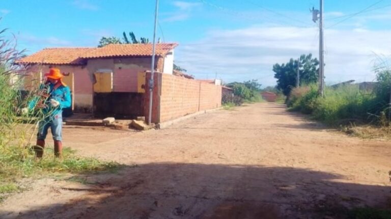 LIMPEZA URBANA AVANÇA EM MARCOS PARENTE/PI
