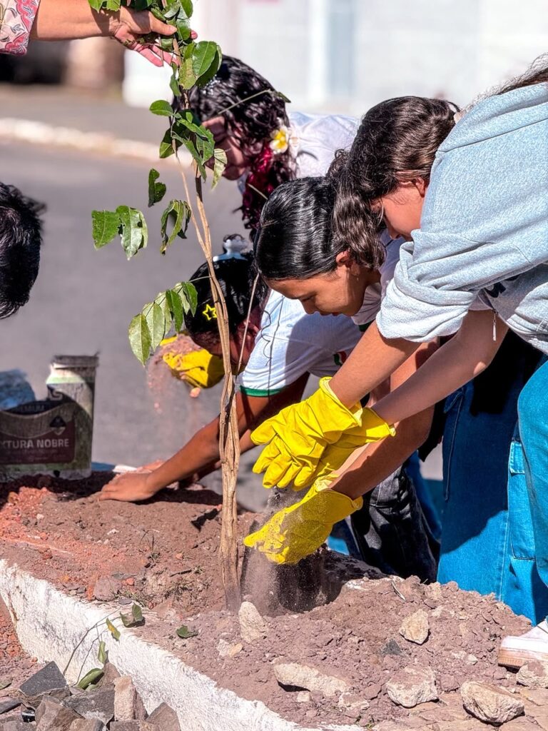 SÃO GONÇALO/PI: PREFEITURA REALIZA PLANTIO DE MUDAS E AMPLIA AÇÕES DE SUSTENTABILIDADE