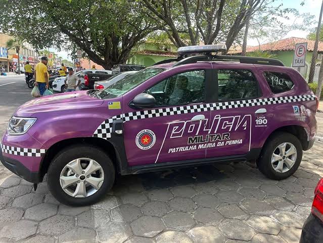 CAMPO MAIOR/PI: POLÍCIA PRENDE HOMEM ACUSADO DE AMEAÇAR A PRÓPRIA MÃE COM REVÓLVER